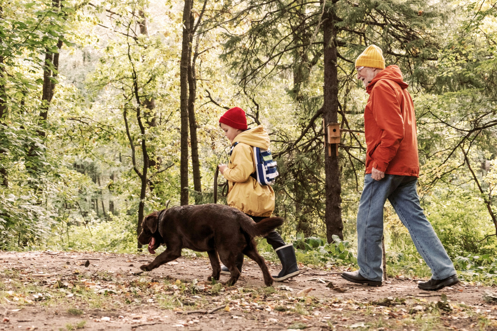 A senior man and a child in nature, walking a dog.