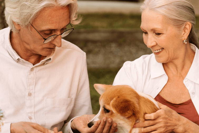 Two elderly people sitting at a table full of food, feeding a dog